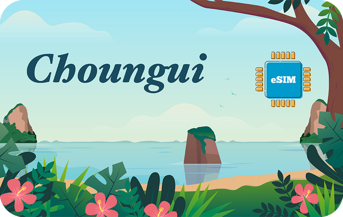choungui-in-15days-2gb