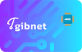 gibnet-in-30days-5gb