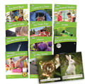 Letters & Sounds Phase 4 Set 2 Non-Fiction