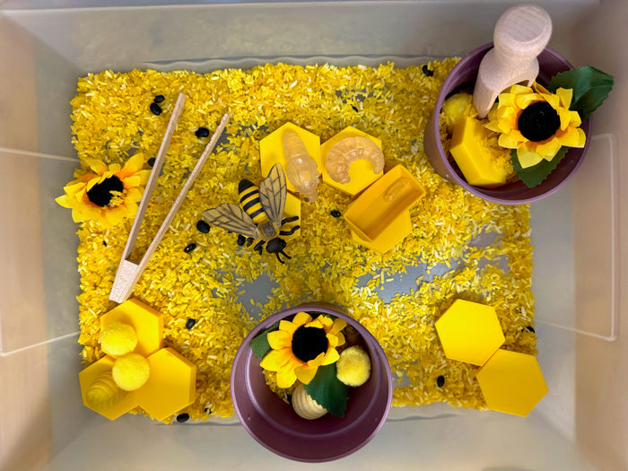 Life Cycle of a Honey Bee