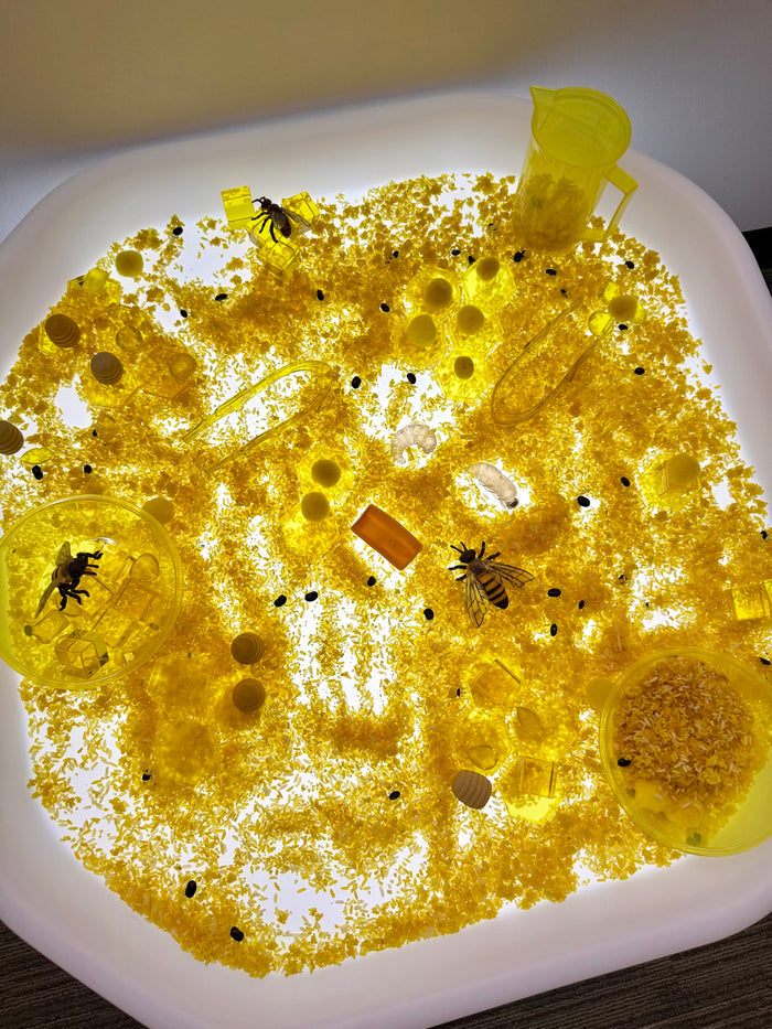 Life Cycle of a Honey Bee