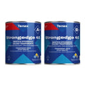 MASTICE EPOSSIDICO TENAX STRONGEDGE 45 (A+B)