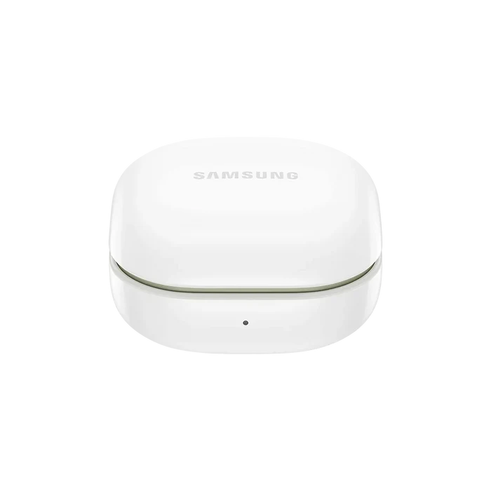 Samsung Galaxy Buds 2 Skins