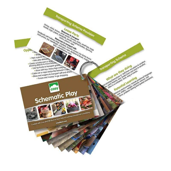 Schema Cards