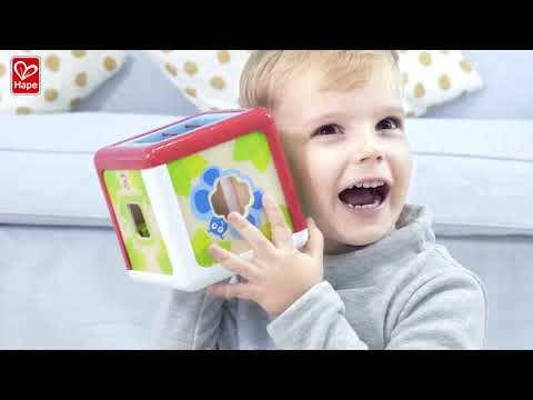 Shape Sorting Box by Hape