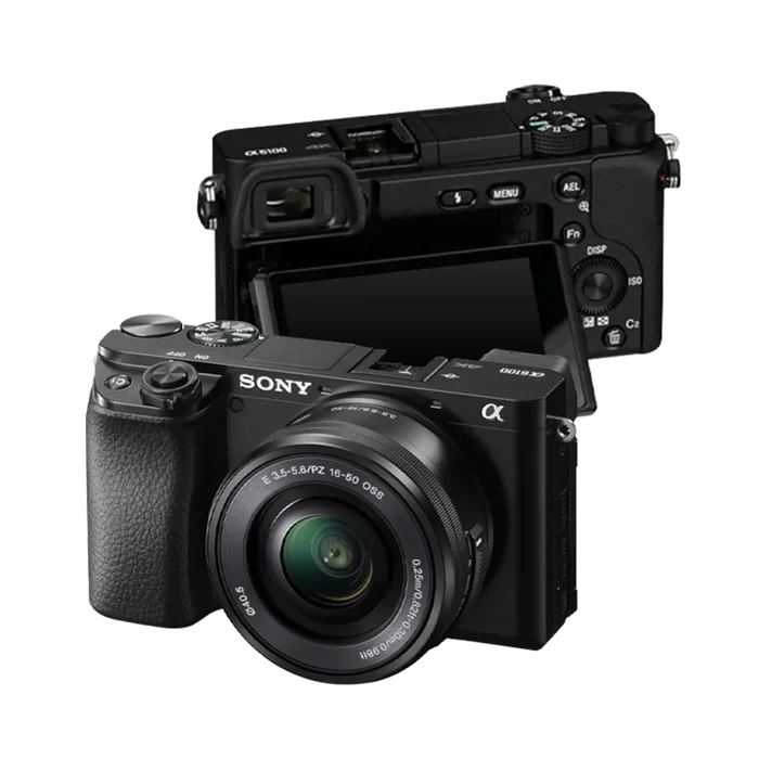Sony Alpha 6100 Skins & Wraps