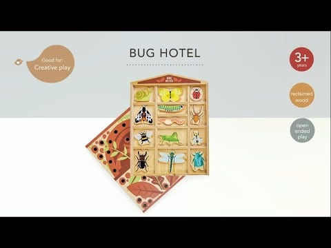 The Bug Hotel