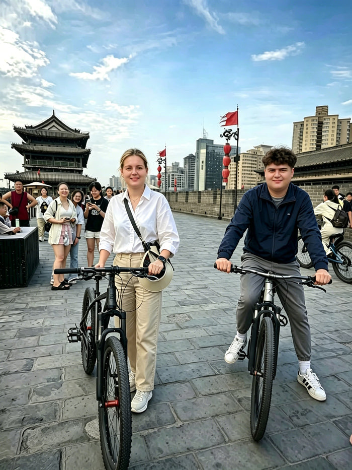 Private guided sightseeing experience in Xi'an