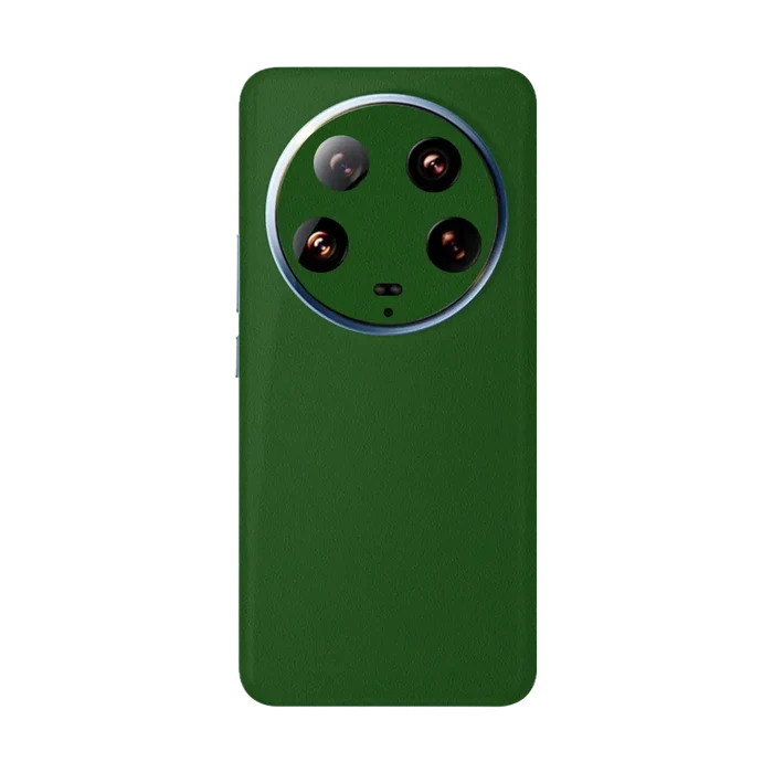 Full Back / Sandstone Green