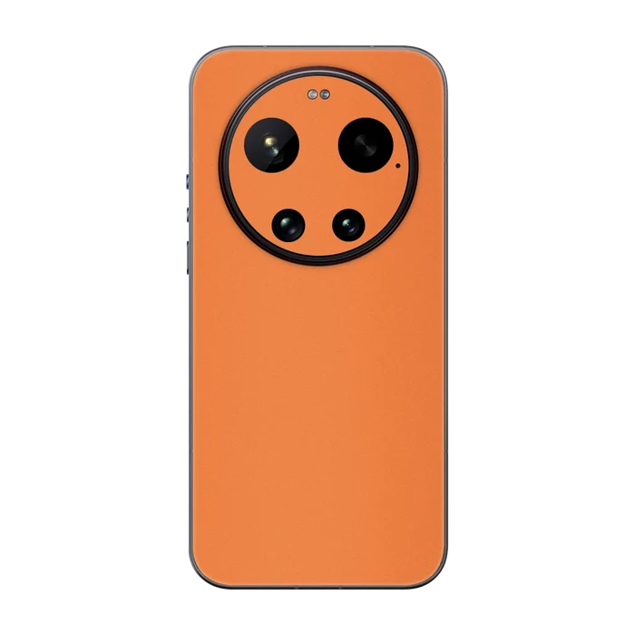Flat Back / Cosmic Orange