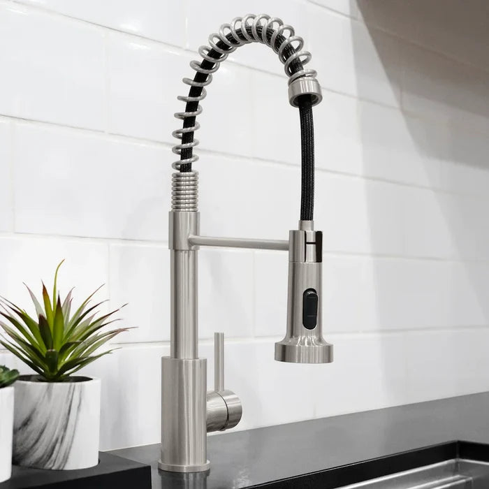ZLINE Rubicon Pull Down Spring Spray Wand Kitchen Faucet, RBCN2-KF-BN09K